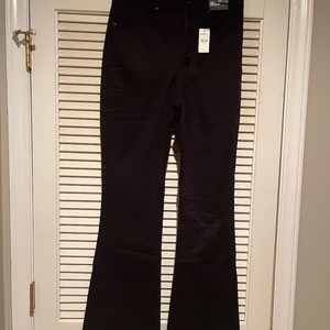 Express Flare Pants